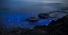 03-bioluminescencia.jpg