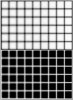 optic_illusion_12_dots_2.jpg